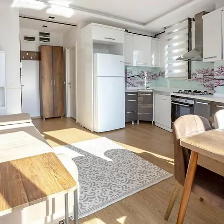 Bright And Cozy Flat With View In Besiktas شقة *