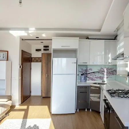 Bright And Cozy Flat With View In Besiktas Apartman *